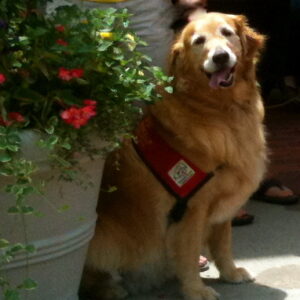 Gracie Girl Camp Kindness